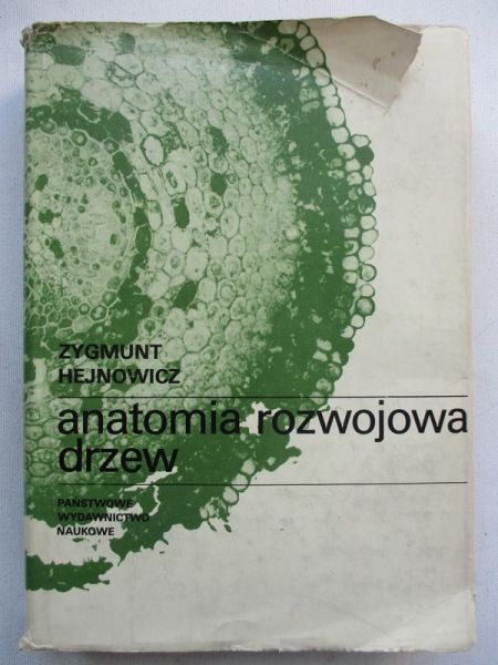 Anatomia rozwojowa drzew