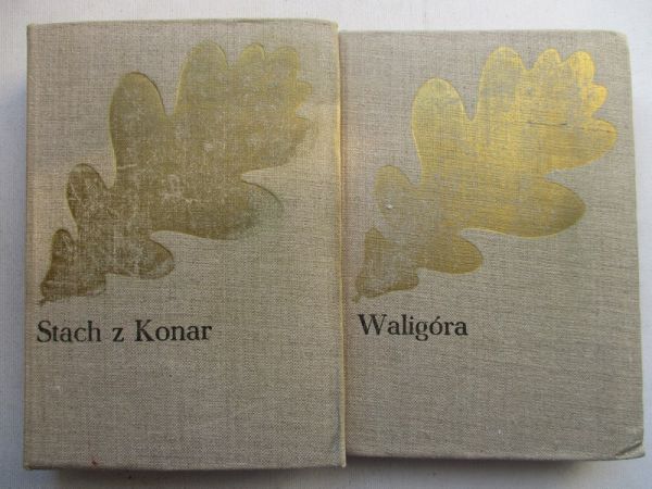 Kraszewski Józef Ignacy - Waligóra, Stach z Konar
