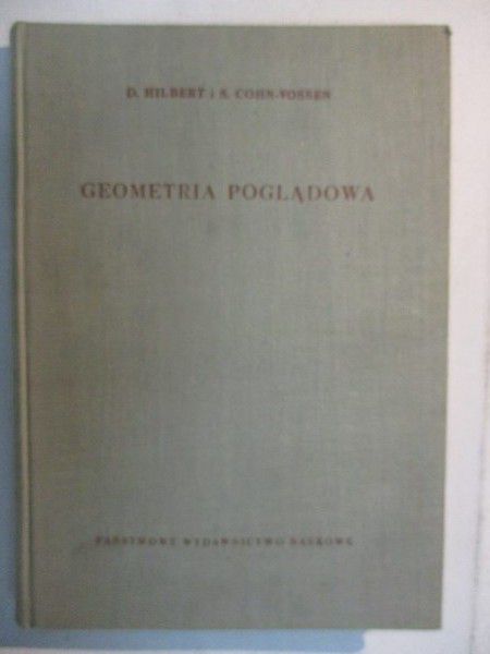 Geometria poglądowa