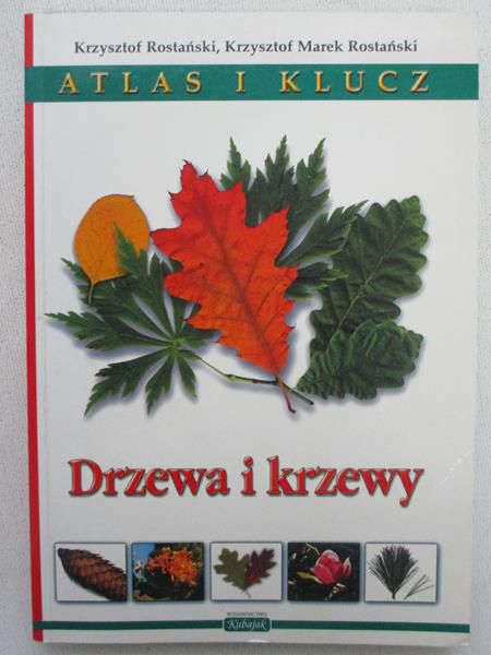 Drzewa i krzewy