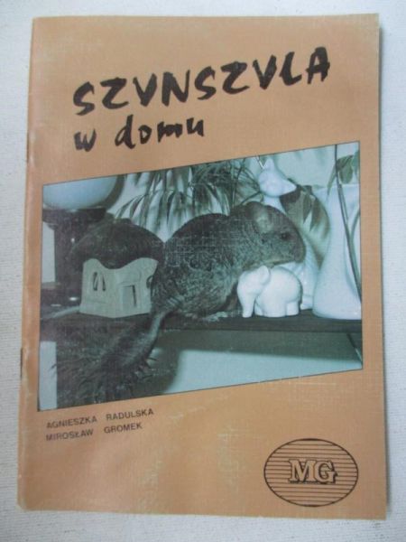 Szynszyla w domu