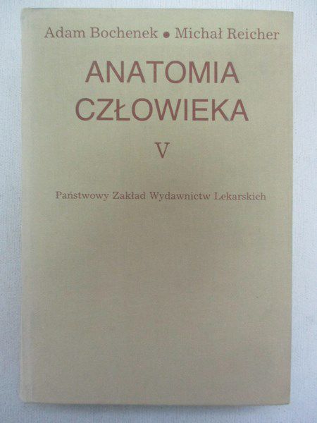 Adam - Anatomia człowieka, t. V