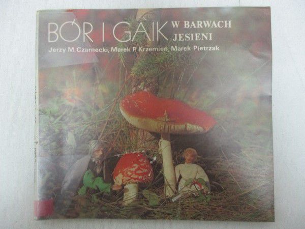 Bór i gaik. W barwach jesieni