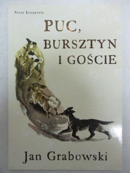 Puc, Bursztyn i goście