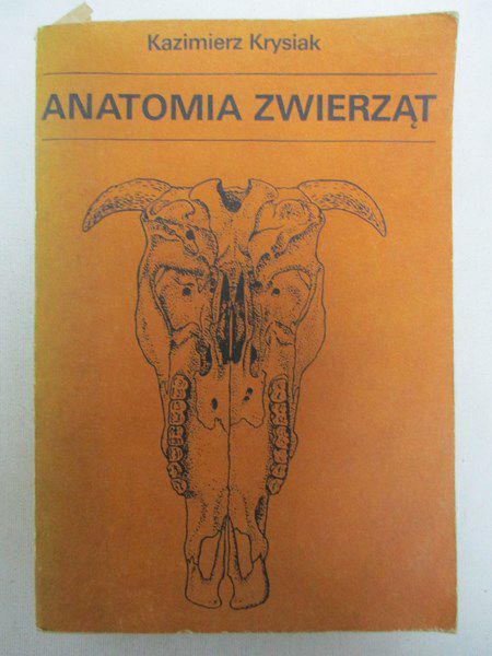 Anatomia zwierząt