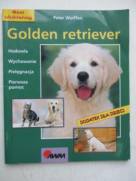 Golden retriever