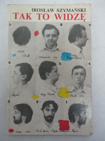 Tak to widzę