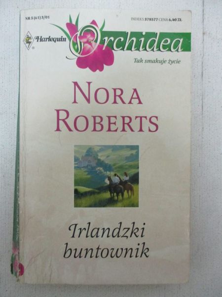 Irlandzki buntownik