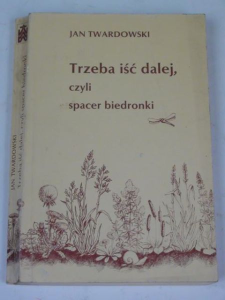 Trzeba iść dalej, czyli spacer biedronki
