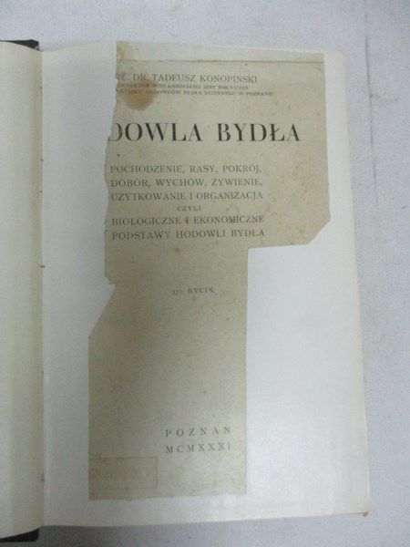 Hodowla bydła