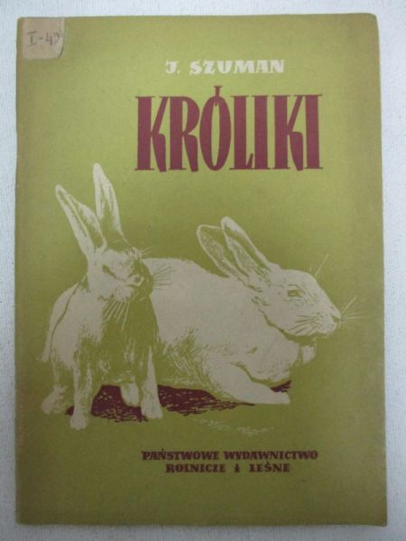 Króliki