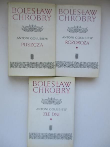Bolesław Chrobry, trzy książki