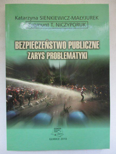 Bezpieczeństwo publiczne. Zarys problematyki