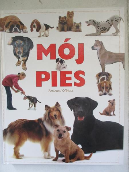 l  - Mój pies