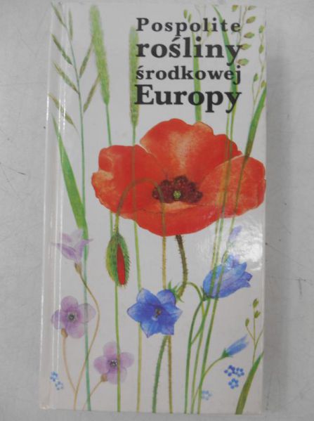 Pospolite rośliny środkowej Europy