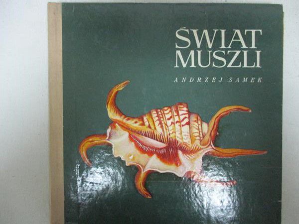 Świat muszli