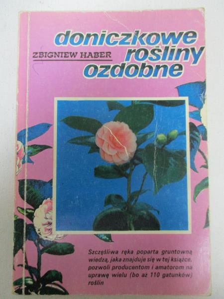 Doniczkowe rośliny ozdobne