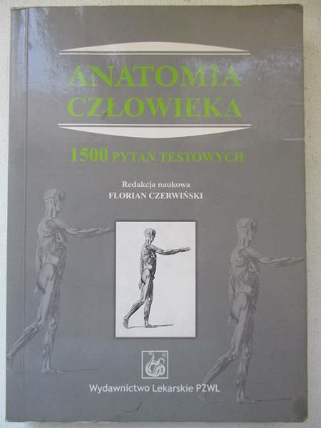 Anatomia człowieka