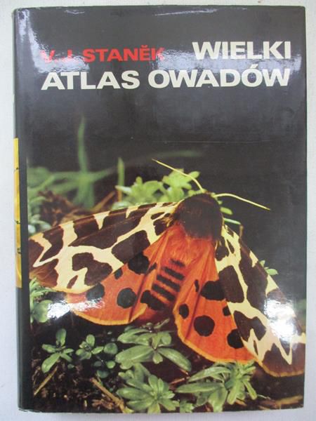 Stanêk  - Wielki atlas owadów