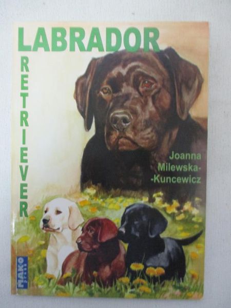 Labrador, Retriever