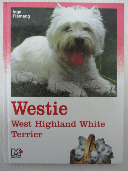 Westie. West Highland White Terrier