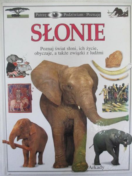 łonie