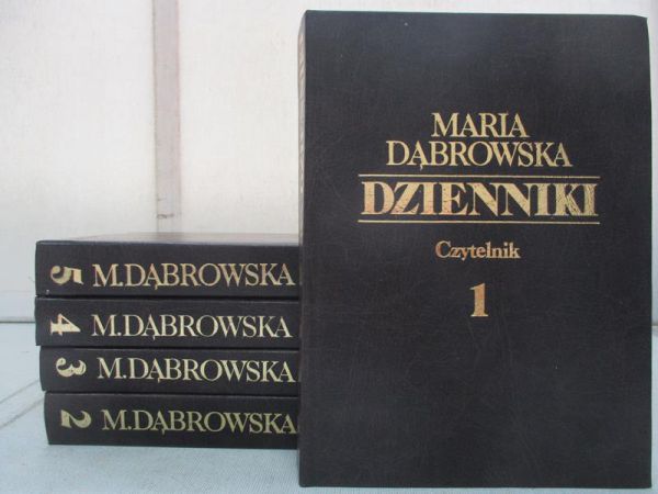 Dzienniki (zestaw 5 tomów)