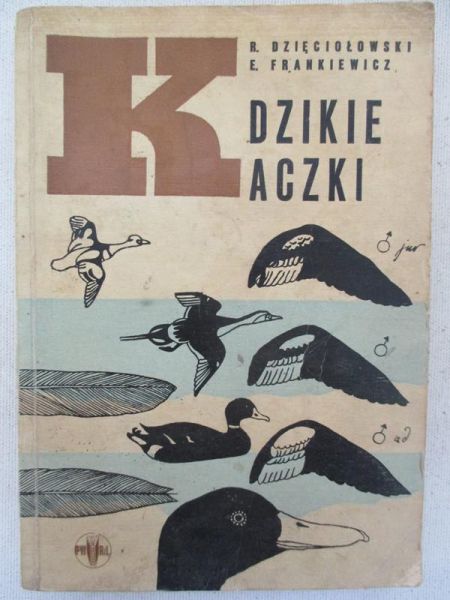 Dzięciołowski Ryszard - Dzikie kaczki