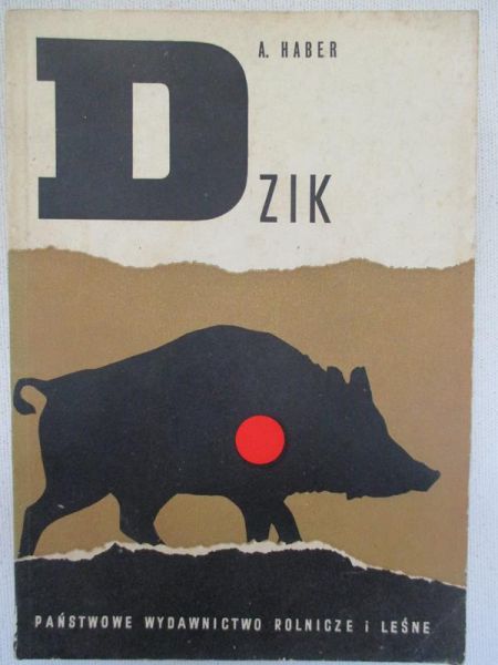 Dzik
