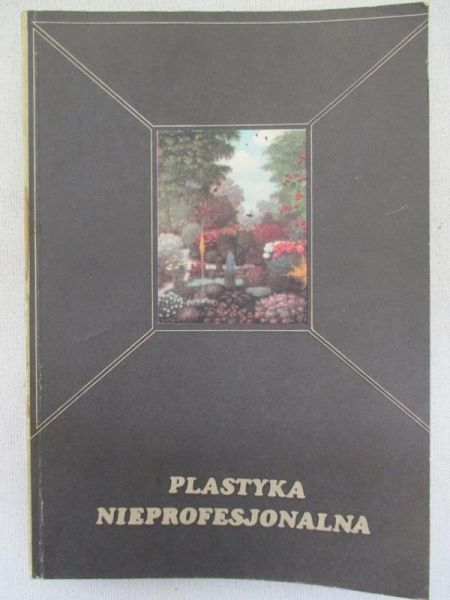 Plastyka nieprofesjonalna