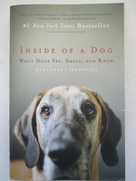 Inside of a Dog