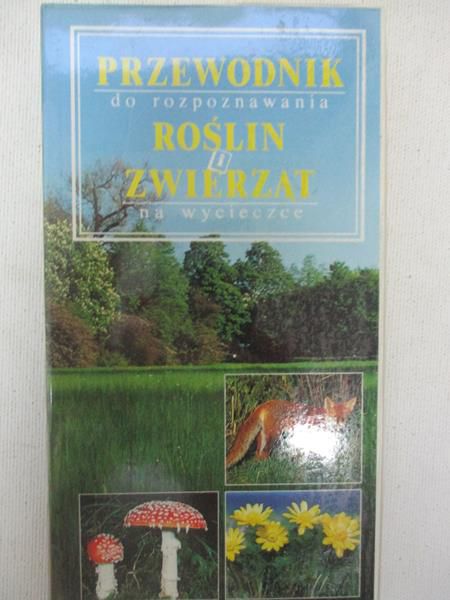 Przewodnik do rozpoznawania roślin i zwierząt na wycieczce