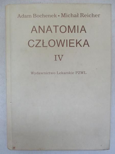Anatomia człowieka, Tom IV