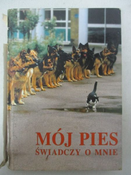 Kilcommons Brian - Mój pies świadczy o mnie