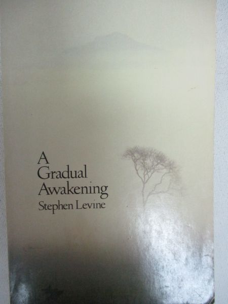 Levine Stephen - A gradual awakening