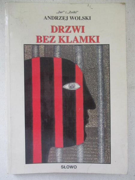 Drzwi bez klamki