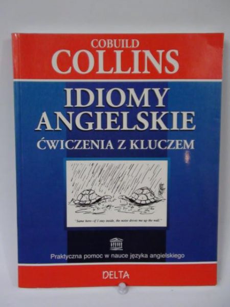 Idiomy angielskie