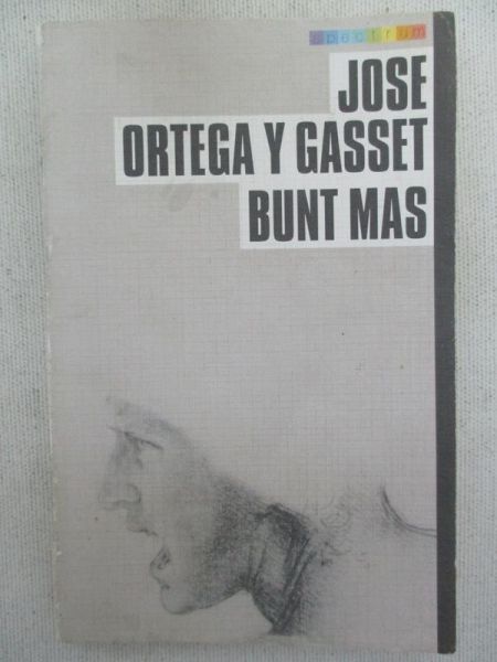 Y    - Bunt mas
