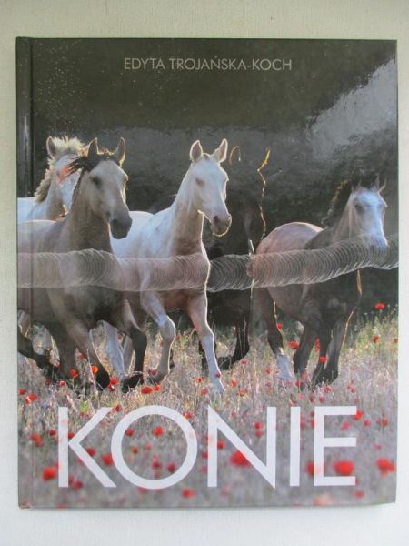 Konie