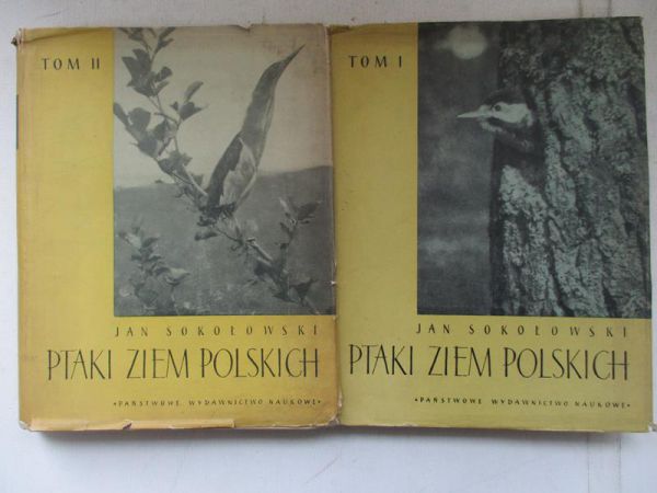 Ptaki Ziem Polskich