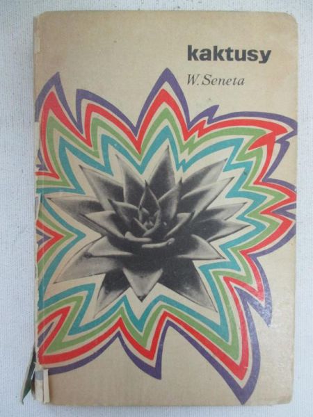 Kaktusy