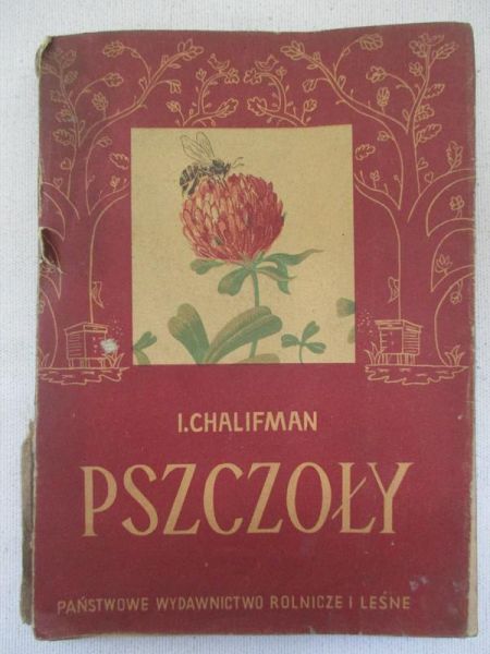 Pszczoły