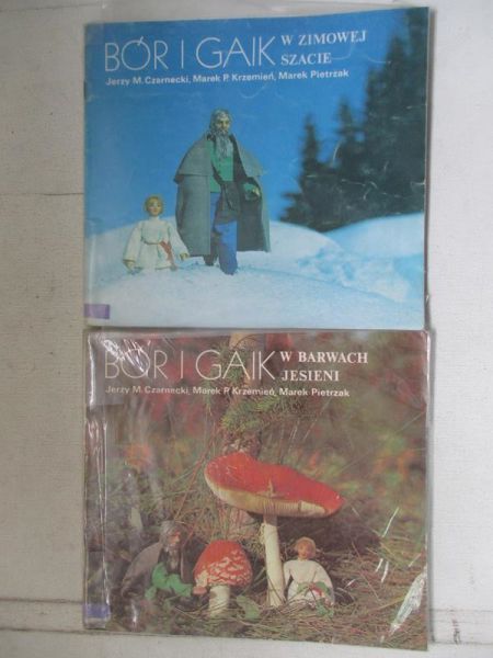 Bór i gaik w barwach jesieni / Bór i gaik w zimowej szacie