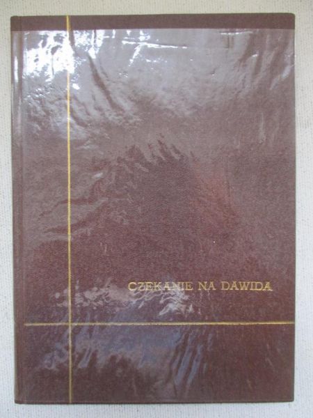 Czekanie na Davida