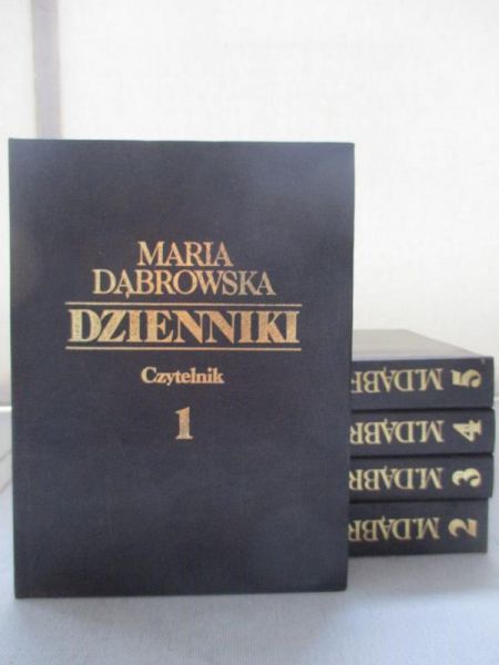 Dzienniki, Tom I-V