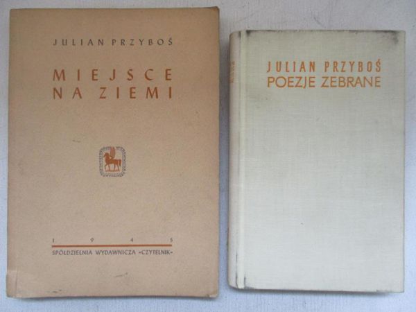 Miejsce na ziemi / Poezje zebrane