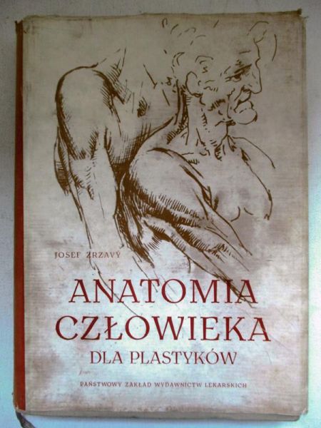 Anatomia człowieka