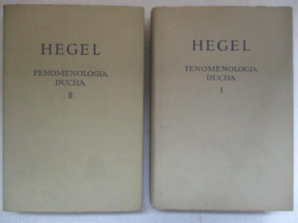 Fenomenologia ducha, I-II tom
