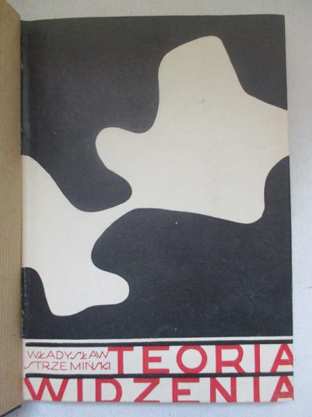 Teoria widzenia