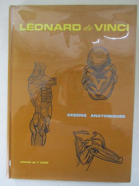 de Vinci Leonard - Dessins Anatomiques